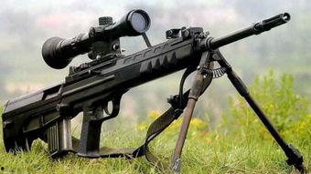 国产10式狙击枪视频,精准射击，彰显我国军工实力