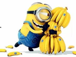 国产精品视频香蕉入口,香蕉入口，探索视觉与情感的极致交融