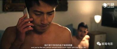 国产小鲜肉帅哥在线视频,在线视频中的青春魅力