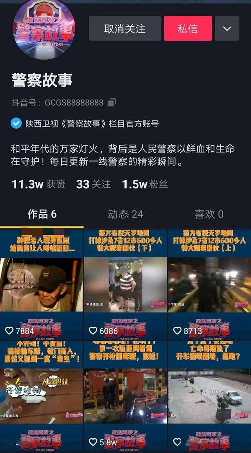 九九九天天视频国产,国产生态的璀璨明珠