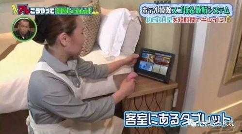 国产 酒店视频在线播放,在线观看，感受本土住宿文化魅力