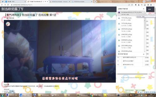哪里能看国产视频播放器,畅享本土影视盛宴的利器
