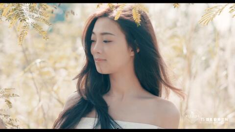 国产雅琪ts视频