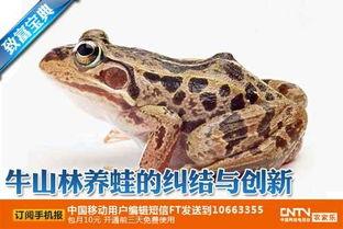 国产青蛙网红视频,国产萌宠的短视频魅力