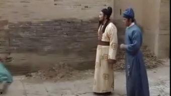 国产厨房乱子伦视频,揭秘厨房里的那些不为人知的故事
