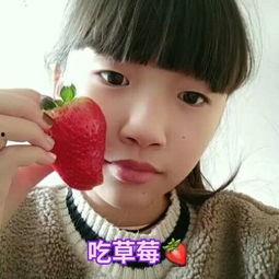国产草莓大视频,探寻我国草莓产业的蓬勃发展